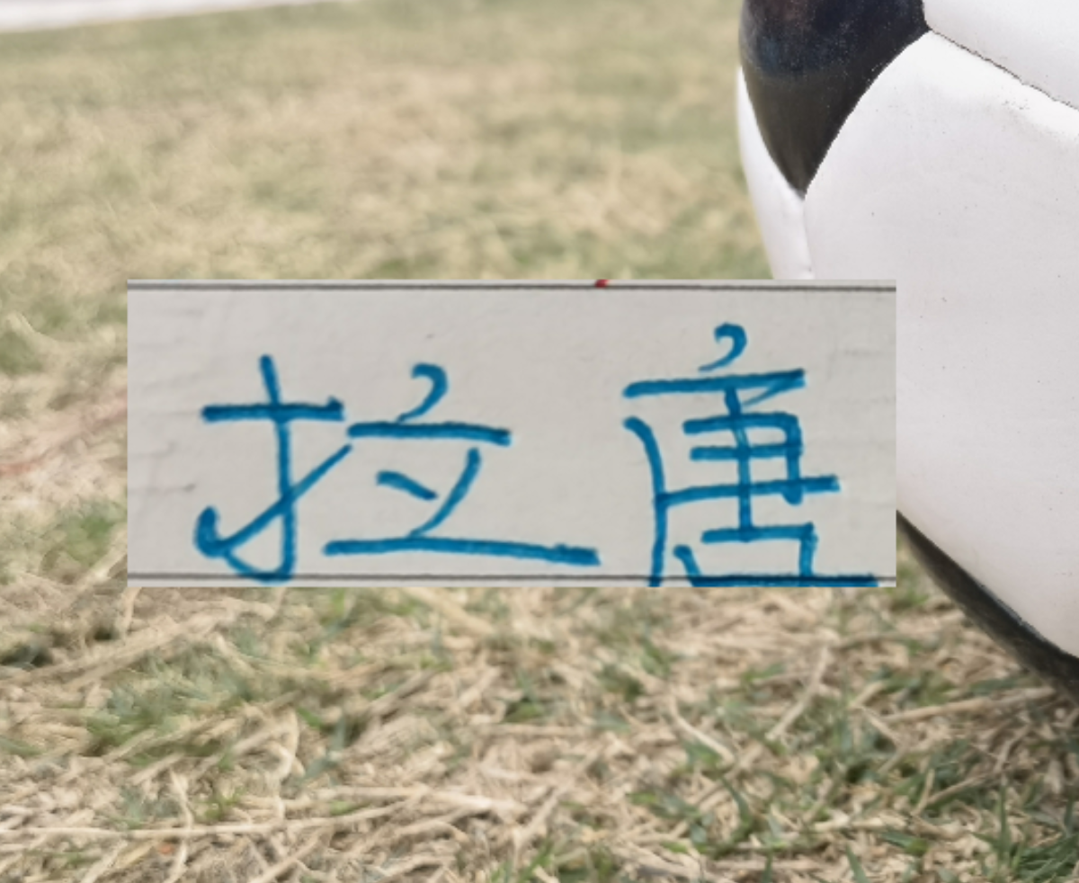 Ảnh